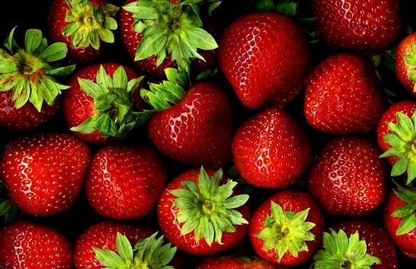 Чем полезна клубника — витаминный «арсенал» ягоды любви с фото