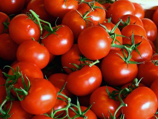 Что такое детерминантный сорт помидор, общее описание и особенности выращивания с фото
