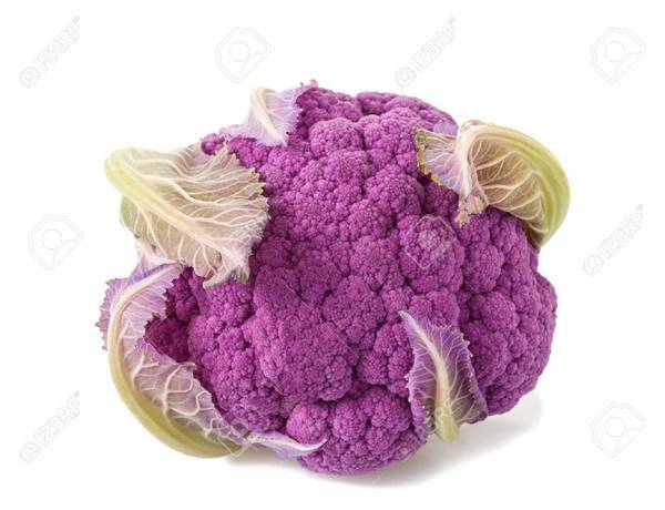 Фиолетовая цветная капуста: достоинства и недостатки - фото