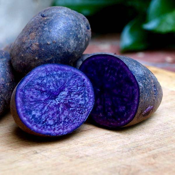 Как вырастить фиолетовую картошку у себя на огороде? с фото