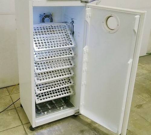 Инкубатор из старого холодильника своими руками: подробная инструкция - фото