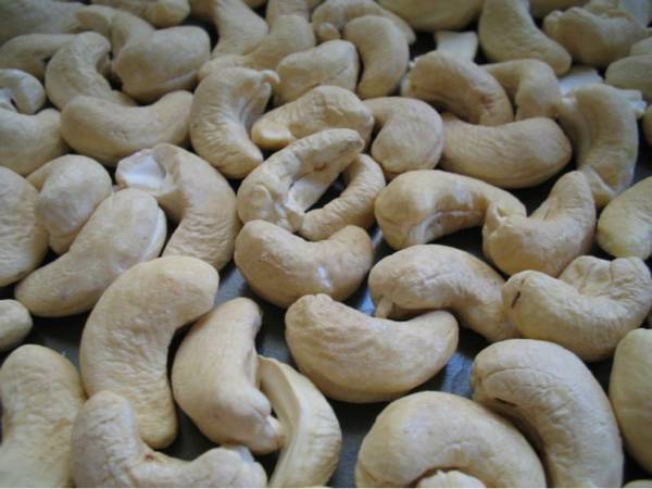 Почему кешью орехи одинаково популярны у врачей и кондитеров? - фото