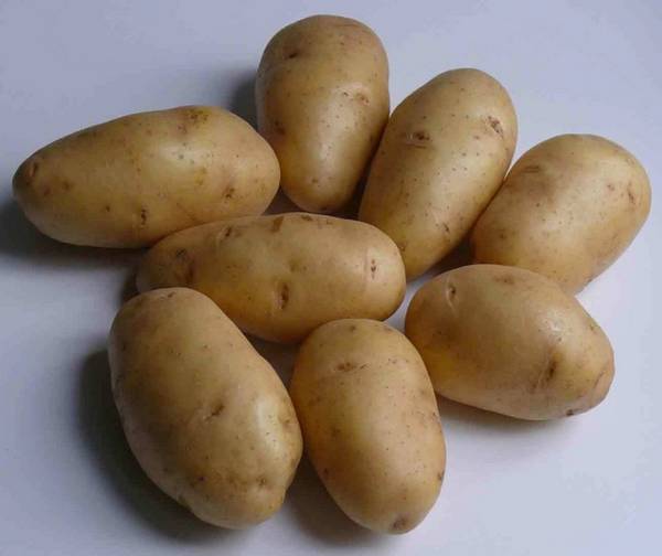 Характеристика и фото картофеля Невского - фото
