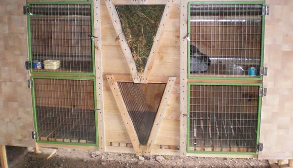 Клетки для кроликов по методу Золотухина: авторская разработка отечественного фермера с фото