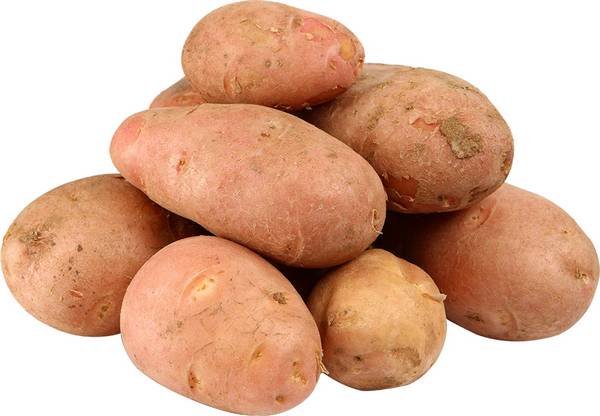 Лучшие сорта красного картофеля для выращивания с фото
