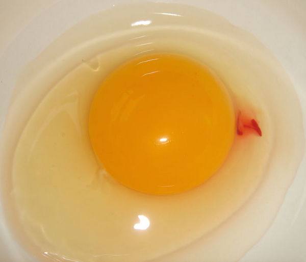 Кровь внутри куриных яиц и на скорлупе: причины и решение проблемы - фото