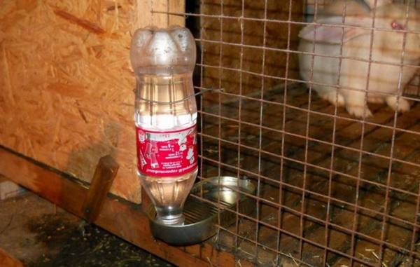 Поилка для кроликов из пластиковой бутылки: инструкция и рекомендации по изготовлению с фото