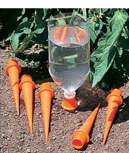 Как организовать полив огорода с помощью пластиковых бутылок с фото