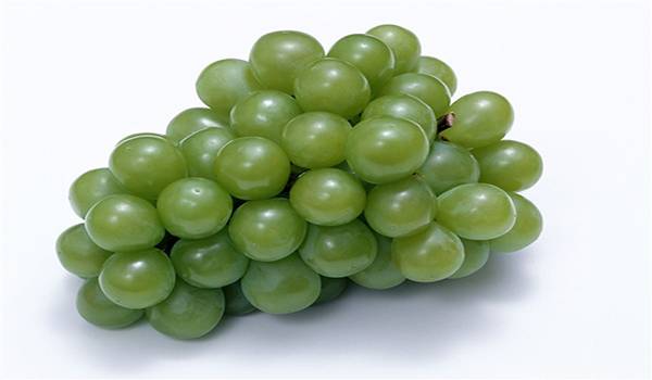 Осенняя обработка винограда от болезней или как получить здоровый урожай с фото