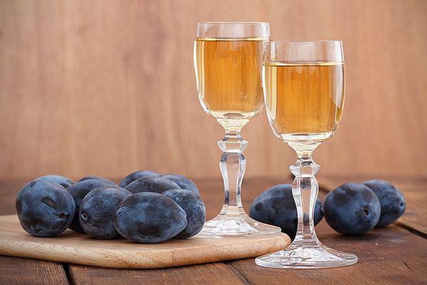Как сделать вкусное сливовое вино: этапы, описание, фото с фото