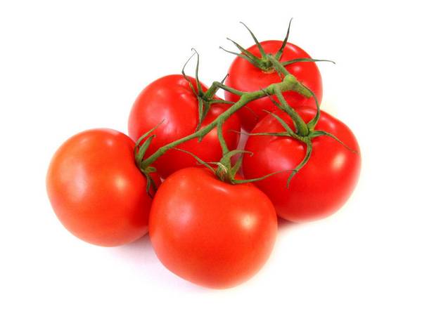 Все о сорте томатов Дачник: выращивание на балконе и на грядке - фото