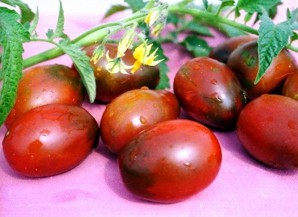 Де Барао черный - высокорослый салатный томат - фото