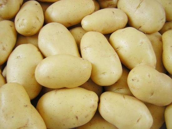 Выращивание картофеля, сорта картофеля в картинках - фото