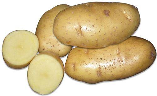Выращивание картофеля в коробах: особенности процесса - фото