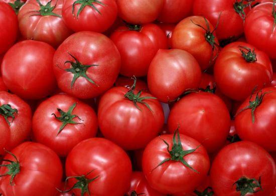 Выращивание томатов в теплице из поликарбоната: от выбора сорта до сбора урожая с фото